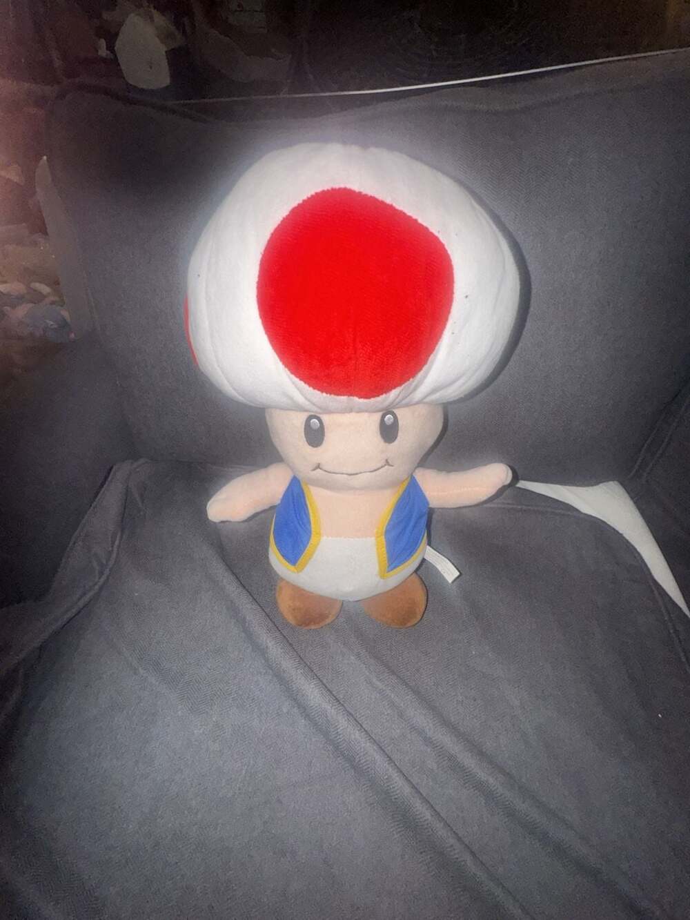Super Mario 13" Toad Plush